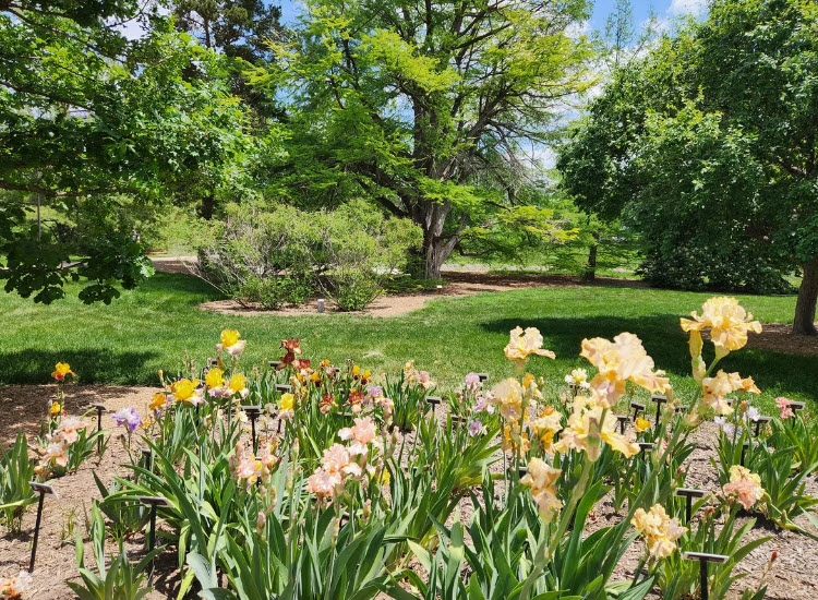 Maxwell Arboretum, United States